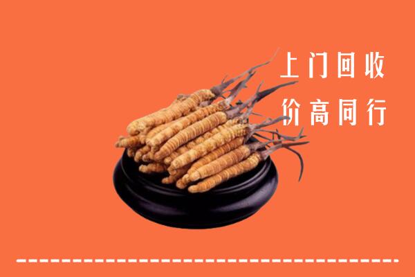 高价求购：漳州市芗城回收散虫草