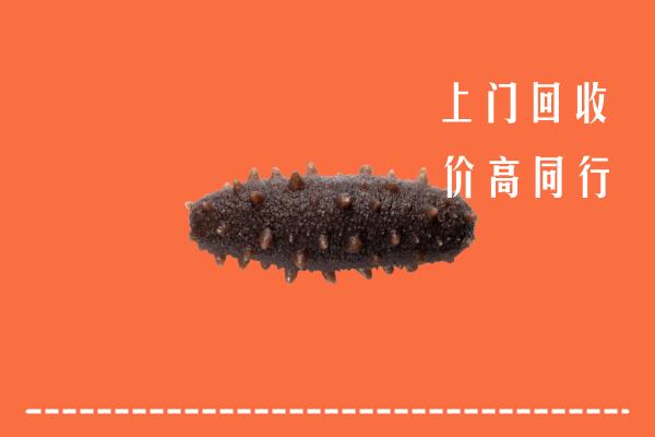 高价求购：漳州市芗城回收海参